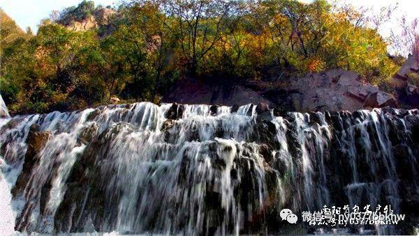 我修的可能是假仙